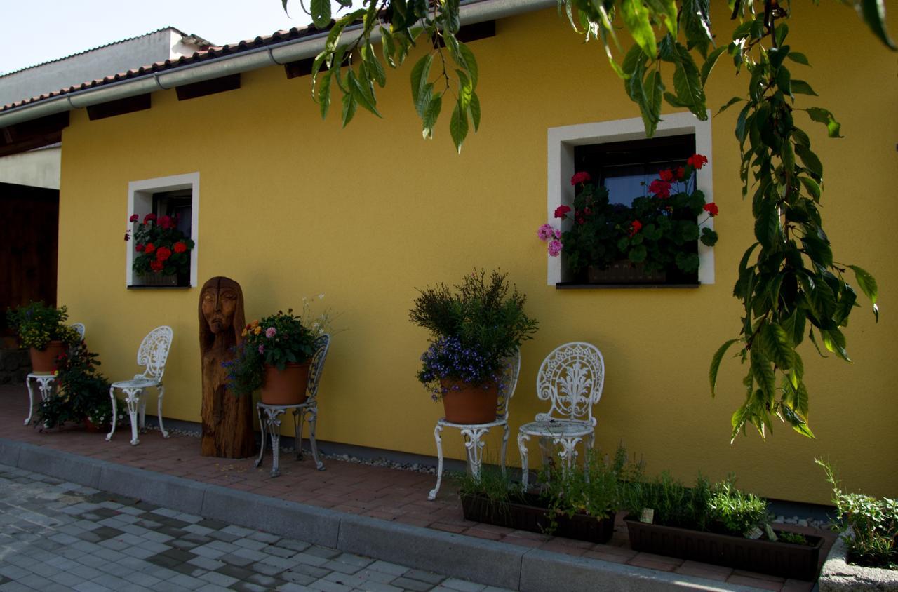 Penzion U Candru Vyšší Brod Extérieur photo