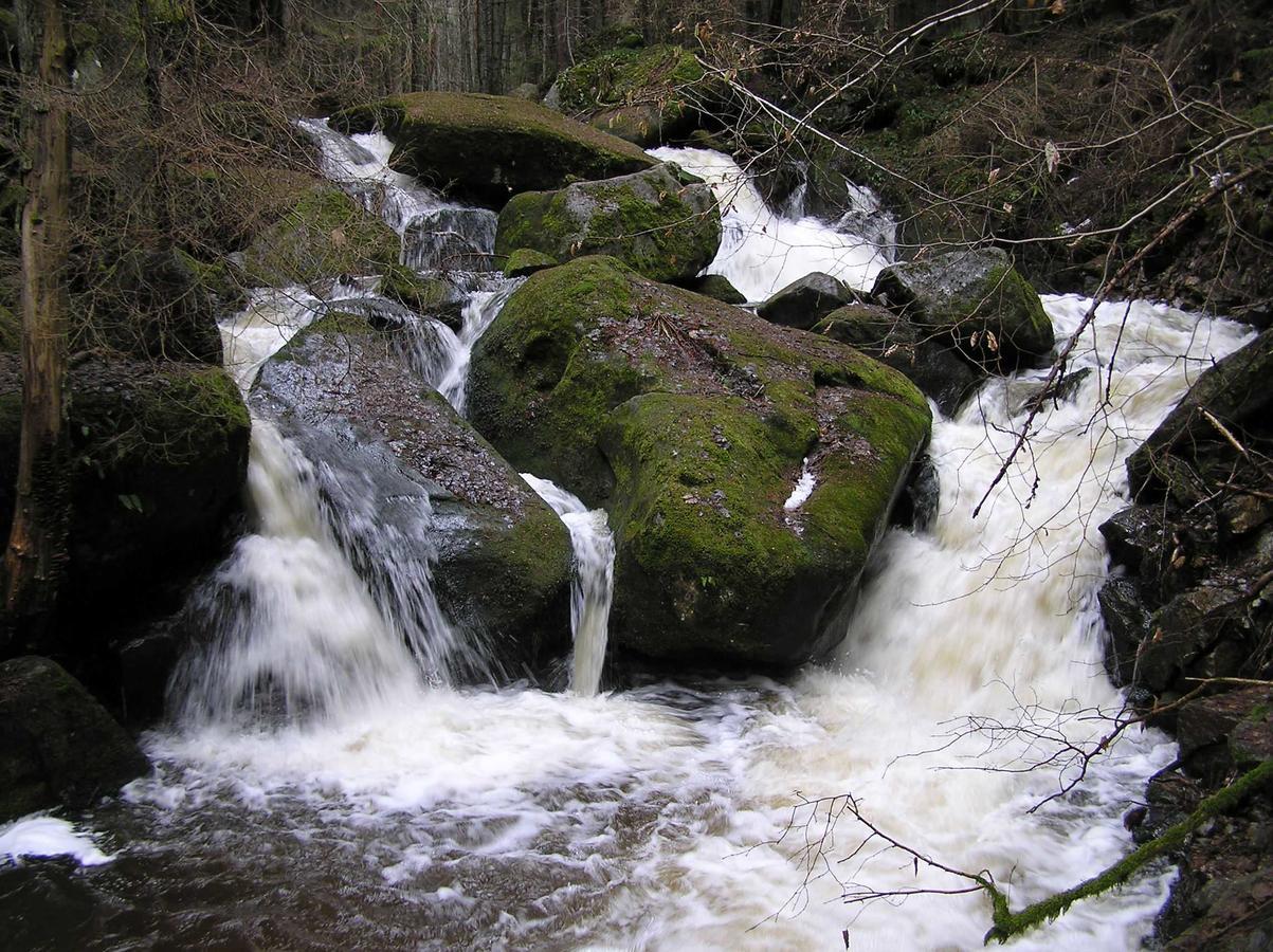 Penzion U Candru Vyšší Brod Extérieur photo